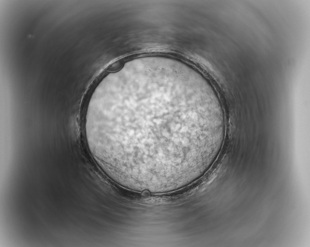 X0000093521212200711021040