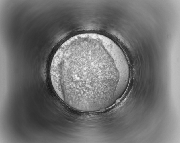 X0000093521213200711021040