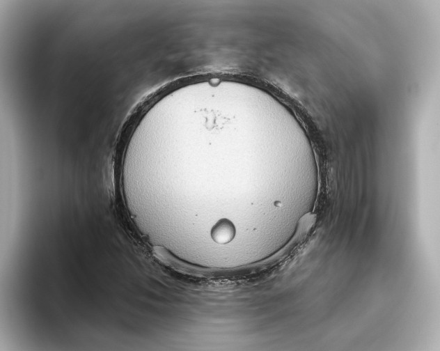 X0000093521214200711021040