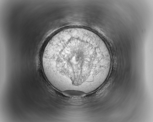 X0000093521215200711021040