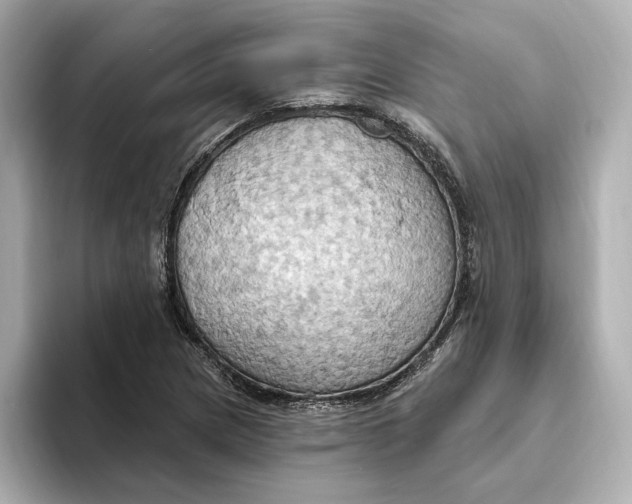 X0000093521217200711021040