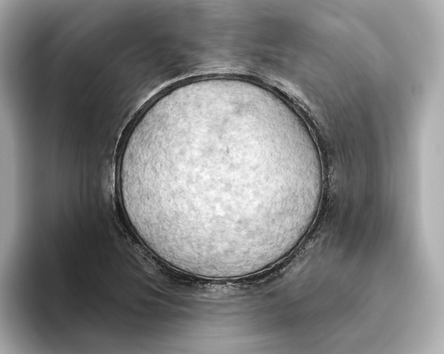 X0000093521220200711021040