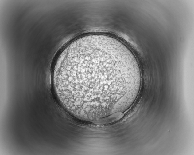 X0000093521221200711021040