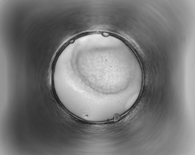 X0000093521224200711021040