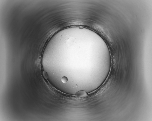 X0000093521225200711021040