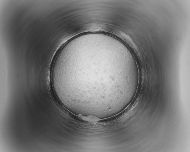 X0000093521226200711021040