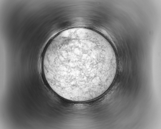 X0000093521227200711021040