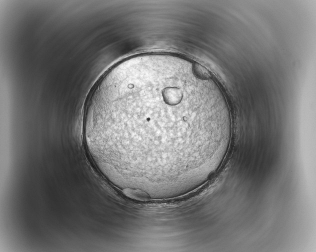 X0000093521228200711021040