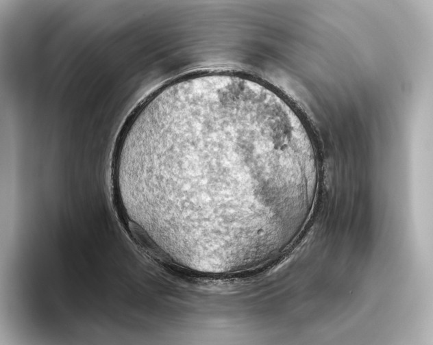 X0000093521229200711021040