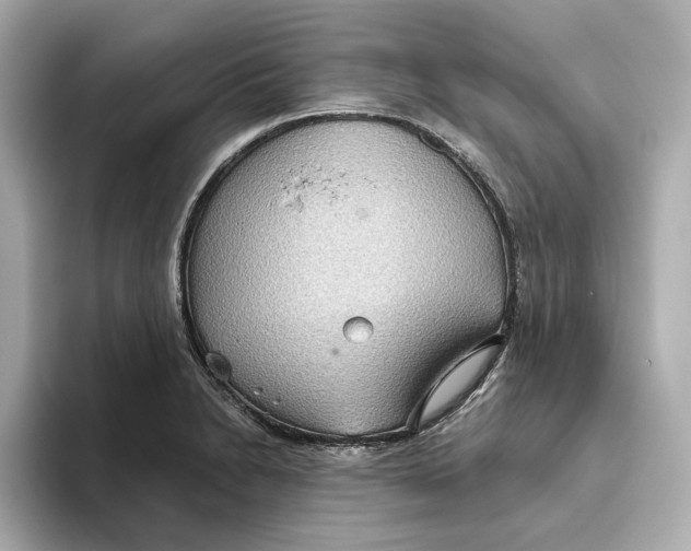 X0000093521230200711021040