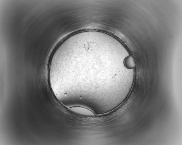 X0000093521232200711021040