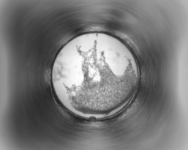 X0000093521233200711021040