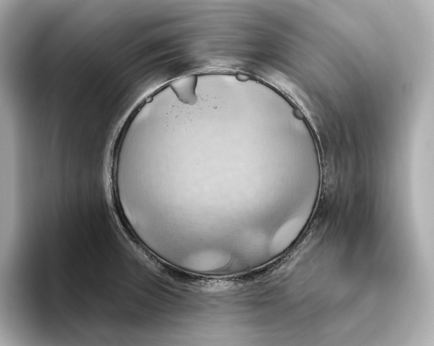 X0000093521235200711021040