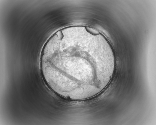 X0000093521236200711021040