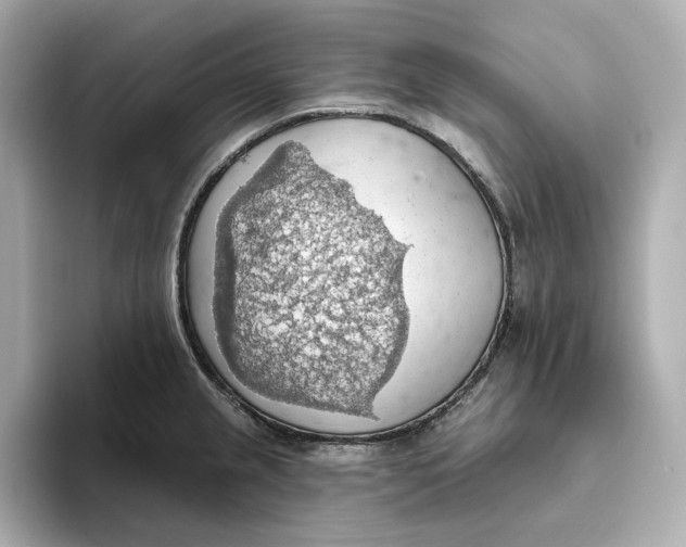 X0000093521237200711021040