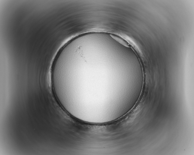 X0000093521238200711021040