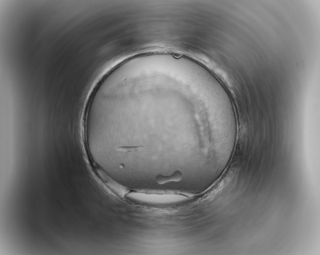 X0000093521239200711021040