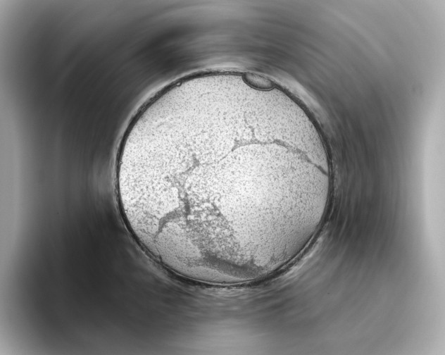 X0000093521240200711021040