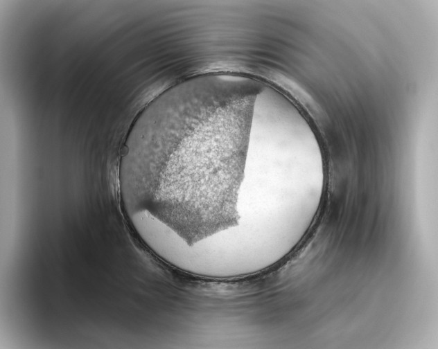 X0000093521241200711021040