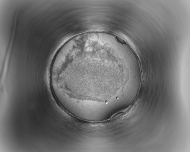 X0000093521243200711021040