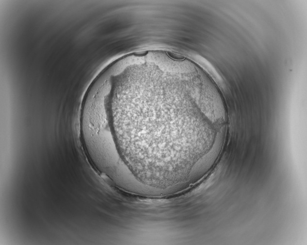 X0000093521244200711021040