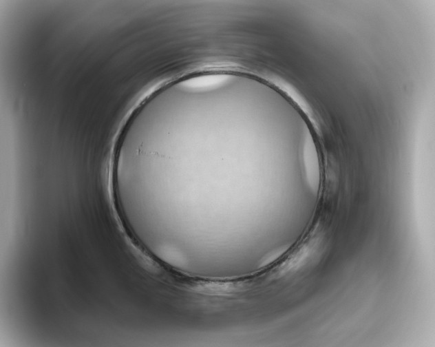 X0000093521245200711021040