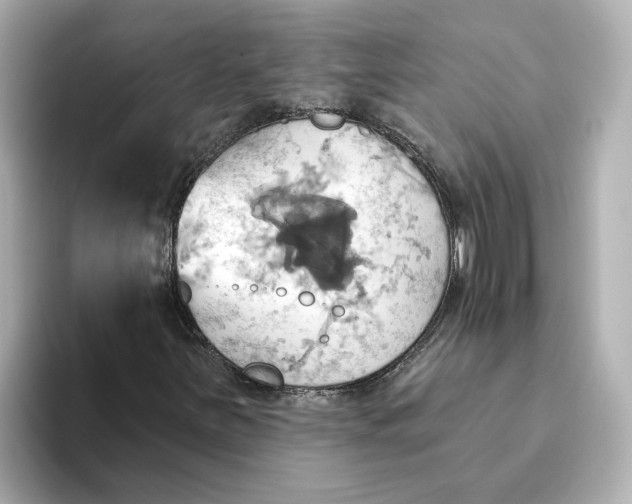 X0000093521251200711021040