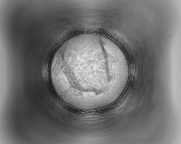 X0000093521252200711021040