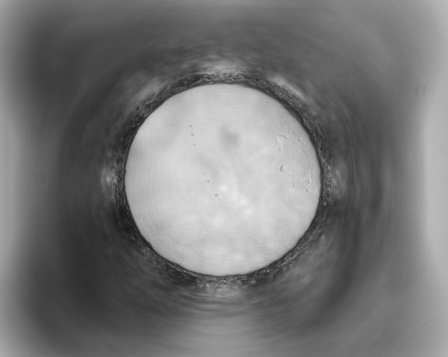 X0000093521254200711021040