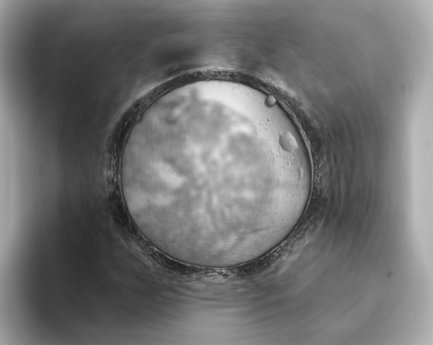 X0000093521255200711021040