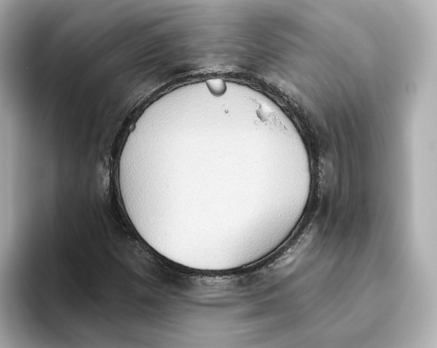 X0000093521257200711021040