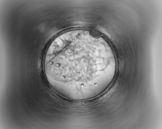 X0000093521259200711021040