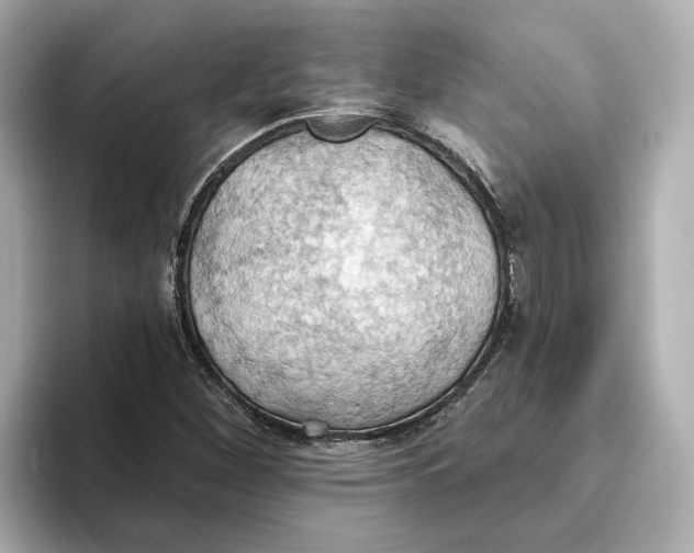 X0000093521260200711021040