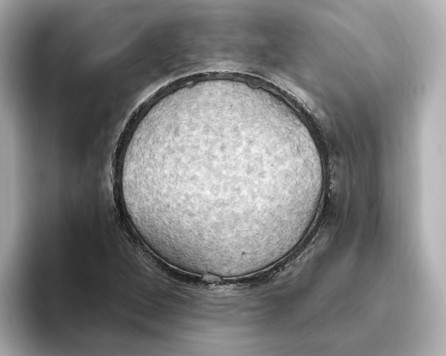 X0000093521264200711021039