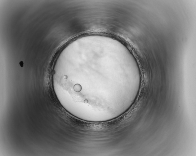 X0000093521266200711021039