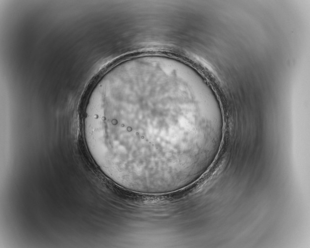 X0000093521267200711021039