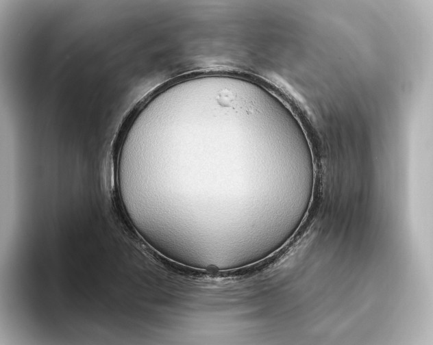 X0000093521269200711021039