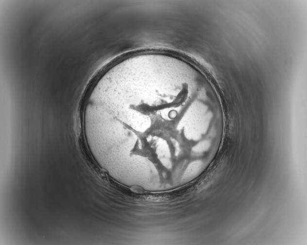 X0000093521271200711021039