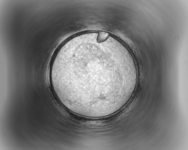 X0000093521272200711021039