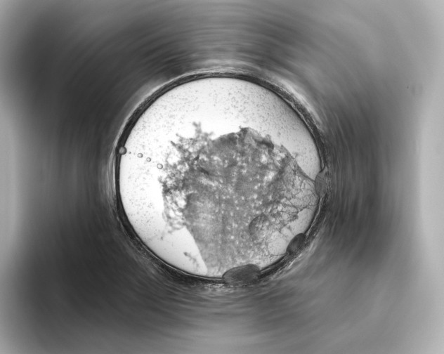 X0000093521275200711021039