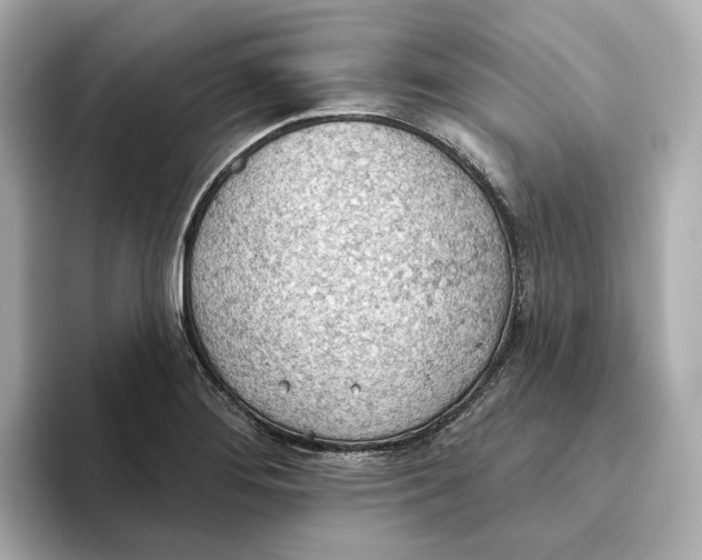 X0000093521276200711021039