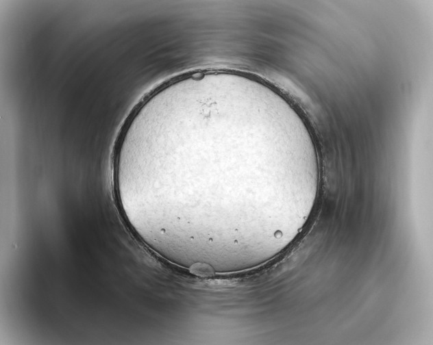 X0000093521280200711021039