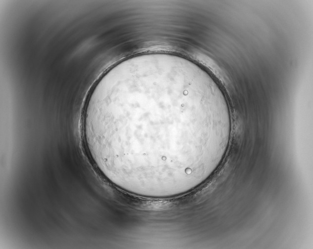 X0000093521282200711021039