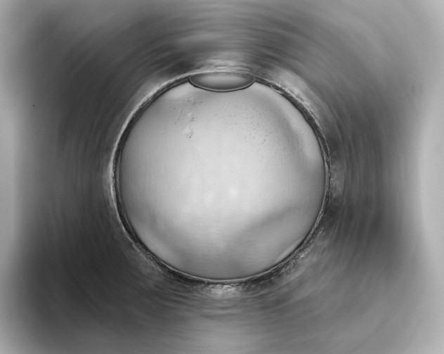 X0000093521283200711021039