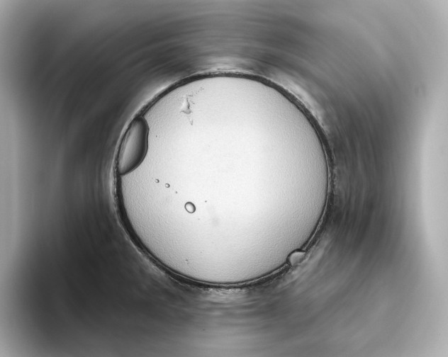 X0000093521285200711021039