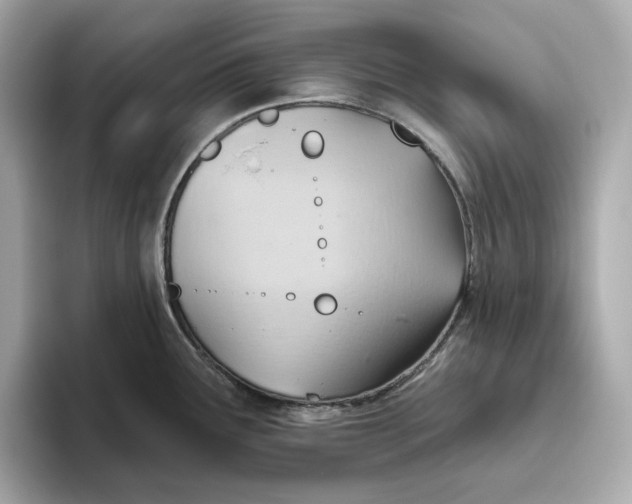 X0000093521291200711021039