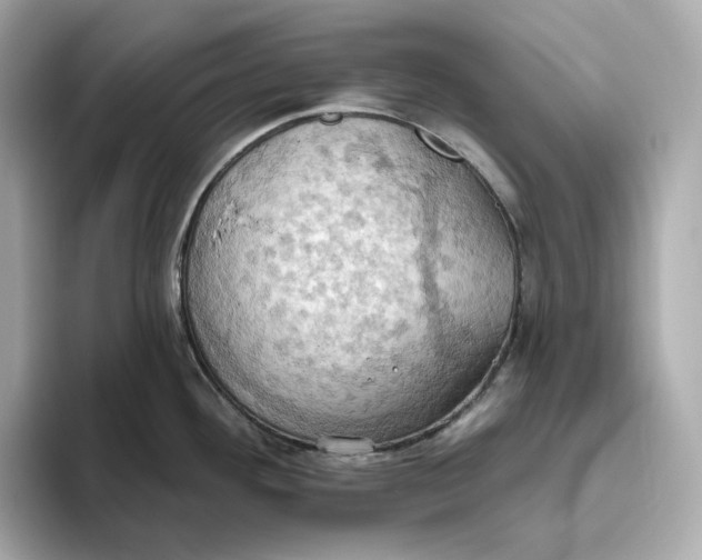 X0000093521292200711021039