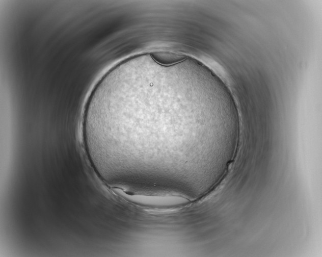 X0000093521296200711021039