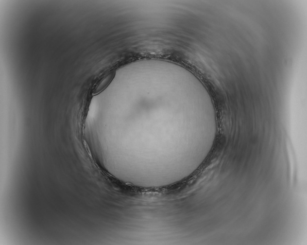 X0000093521297200711021039