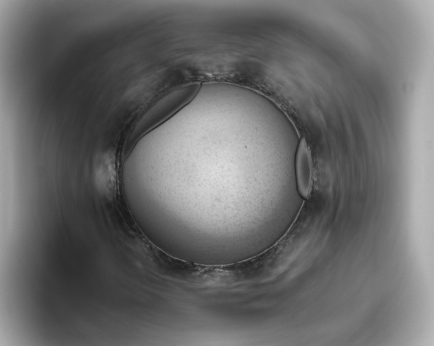 X0000093521298200711021039